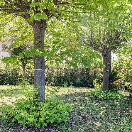 아파트 Trilocale Con Ampio Giardino A 100mt Dal Mare, - M359